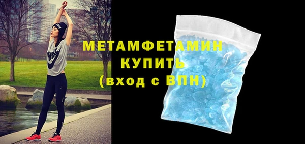 индика Бородино