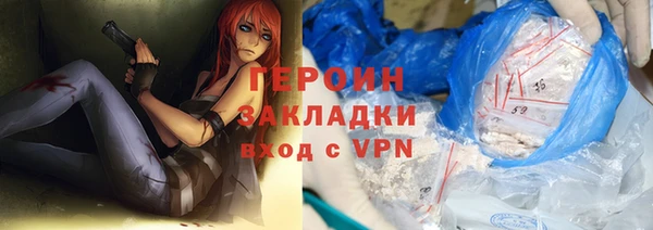 индика Бородино