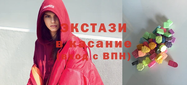 индика Бородино