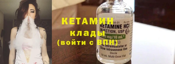 индика Бородино
