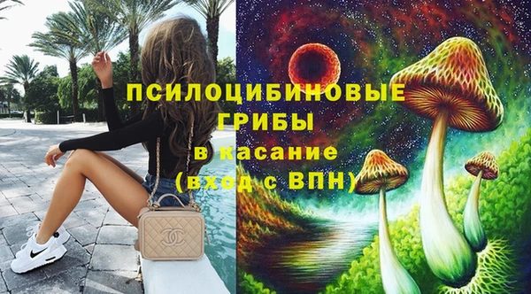 молекула духа Бронницы