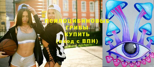 стафф Верея