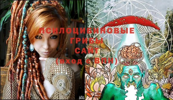 молекула духа Бронницы