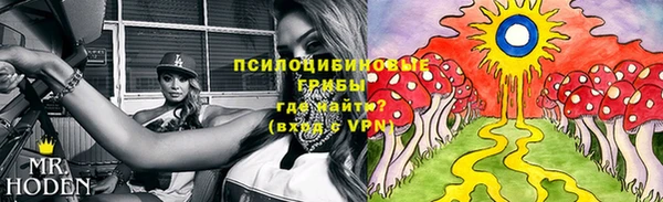 молекула духа Бронницы