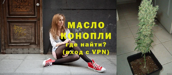 шишки Верхний Тагил