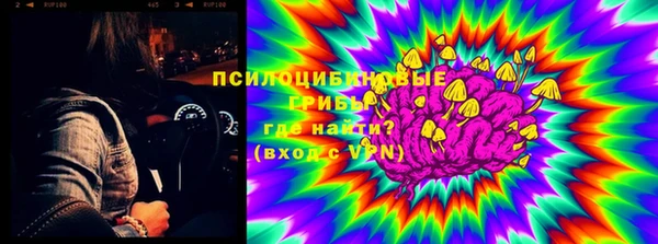 шишки Верхний Тагил