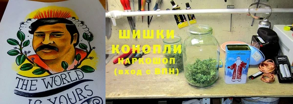 шишки Верхний Тагил