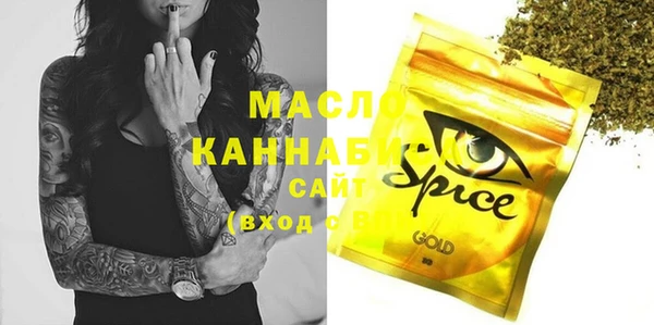индика Бородино