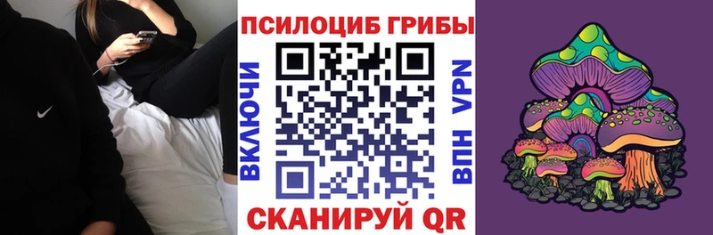блэк спрут рабочий сайт цены Кашира Псилоцибиновые грибы Psilocybine cubensis